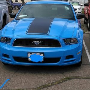 Meet your Posher, Shaun